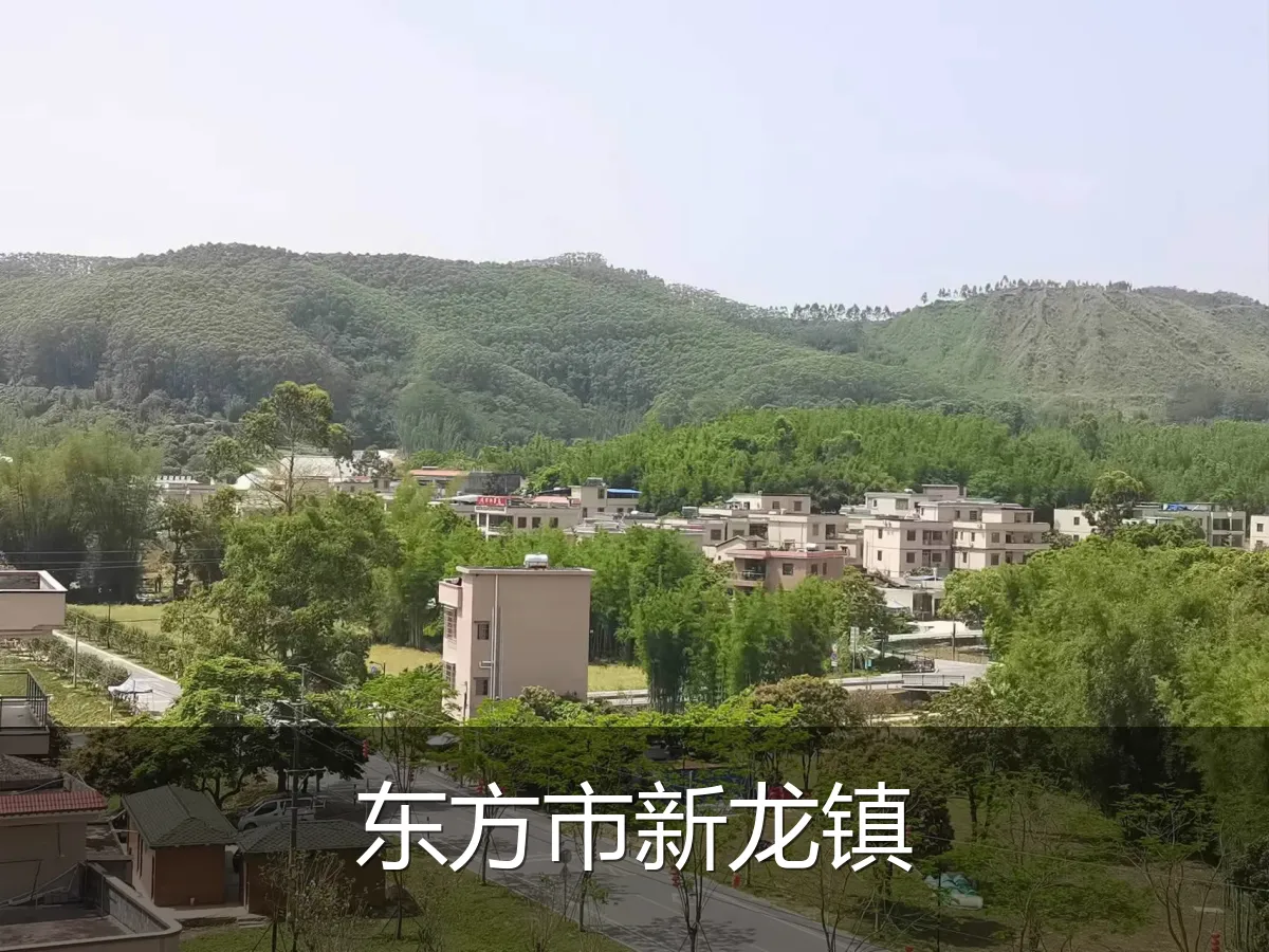 东方市新龙镇