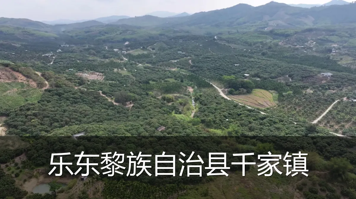 乐东黎族自治县千家镇