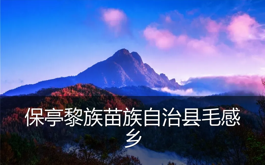 保亭黎族苗族自治县毛感乡