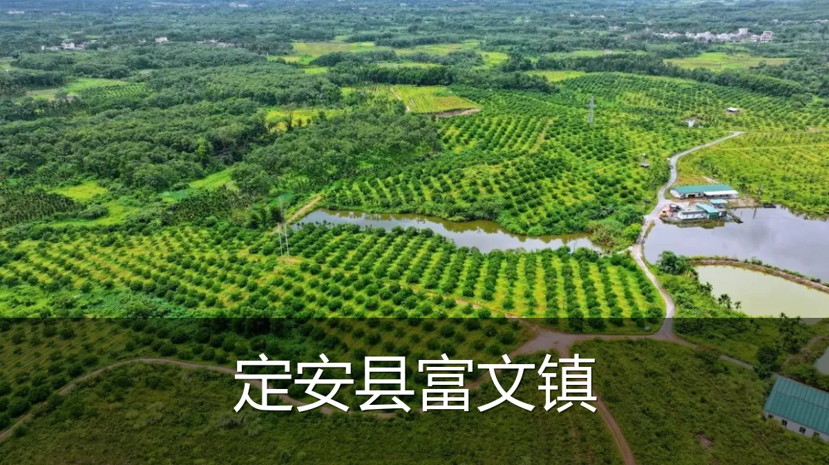 定安县富文镇