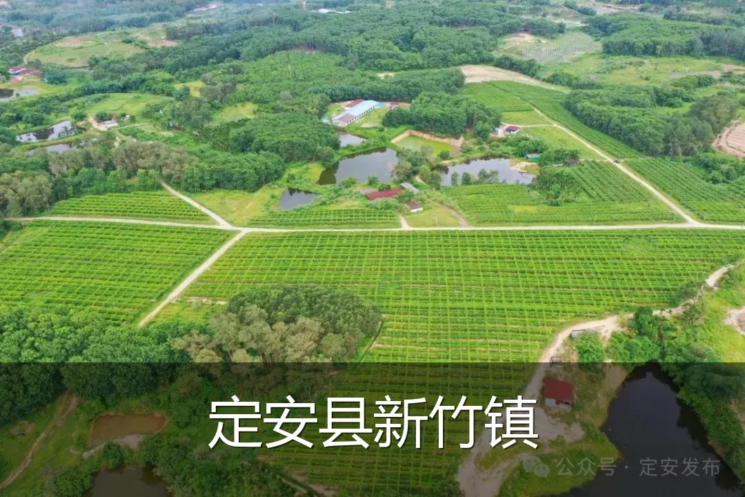 定安县新竹镇