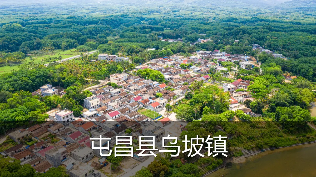 屯昌县乌坡镇