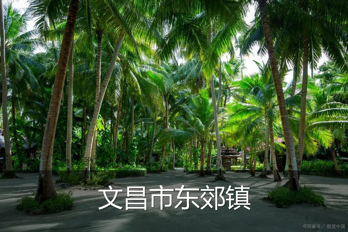 文昌市东郊镇