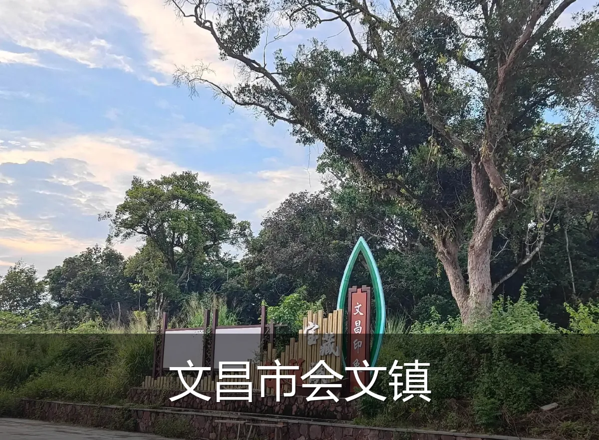 文昌市会文镇