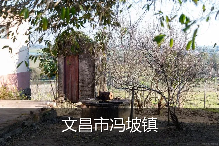 文昌市冯坡镇