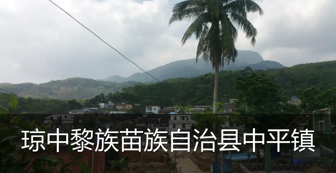 琼中黎族苗族自治县中平镇