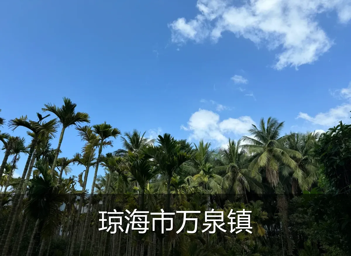 琼海市万泉镇