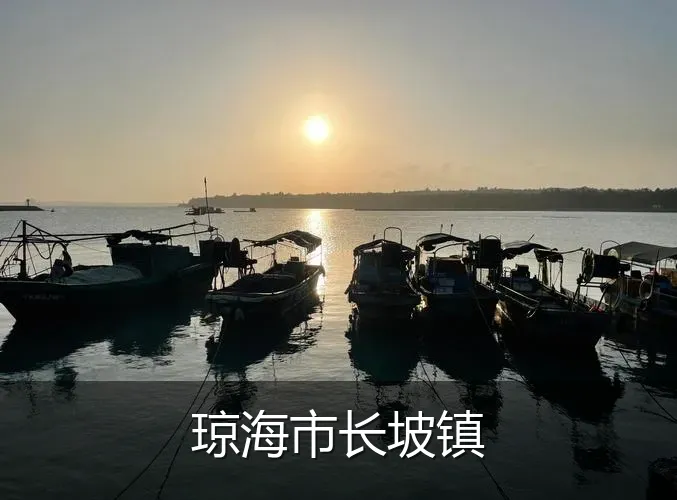 琼海市长坡镇