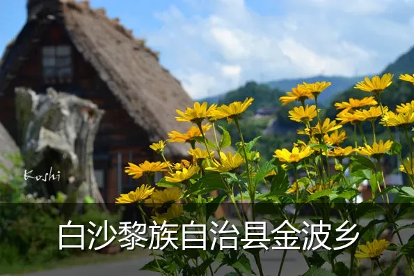 白沙黎族自治县金波乡