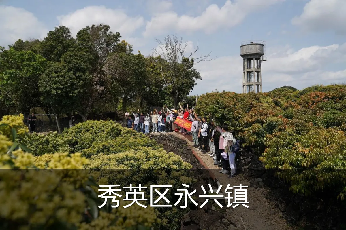 秀英区永兴镇