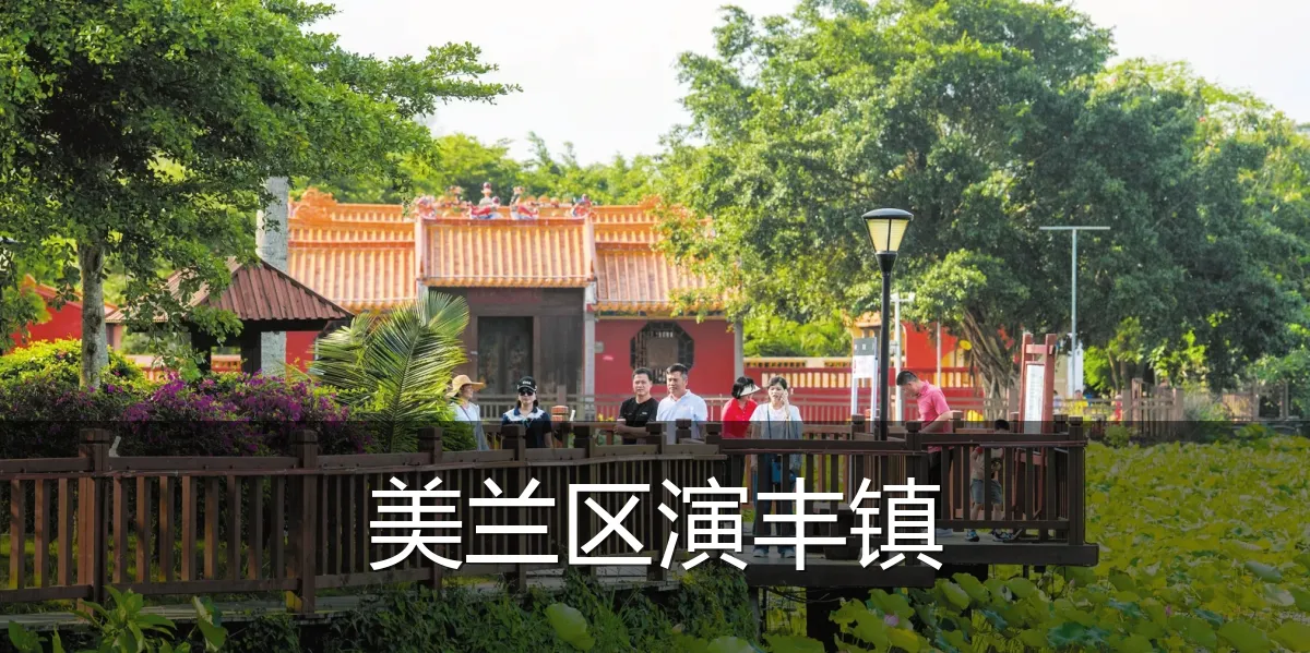 美兰区演丰镇