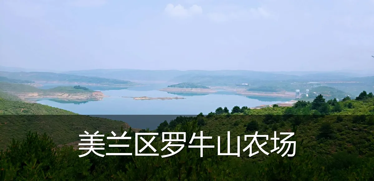 美兰区罗牛山农场