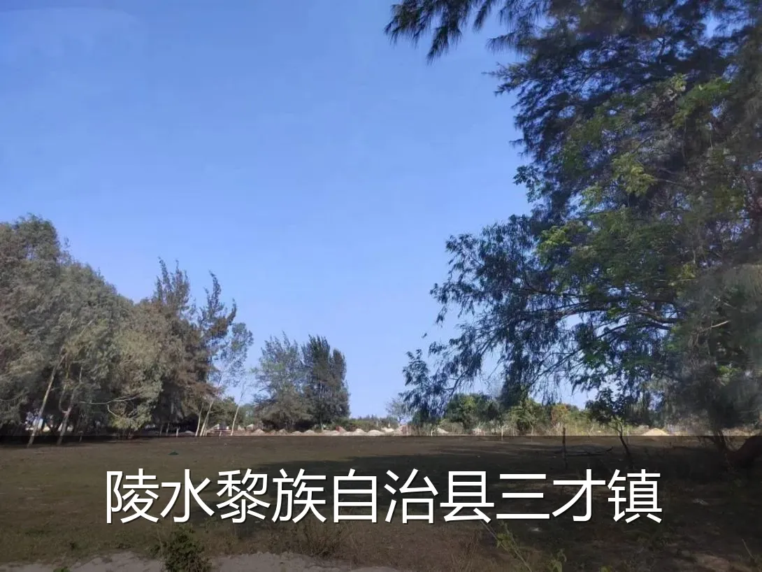 陵水黎族自治县三才镇