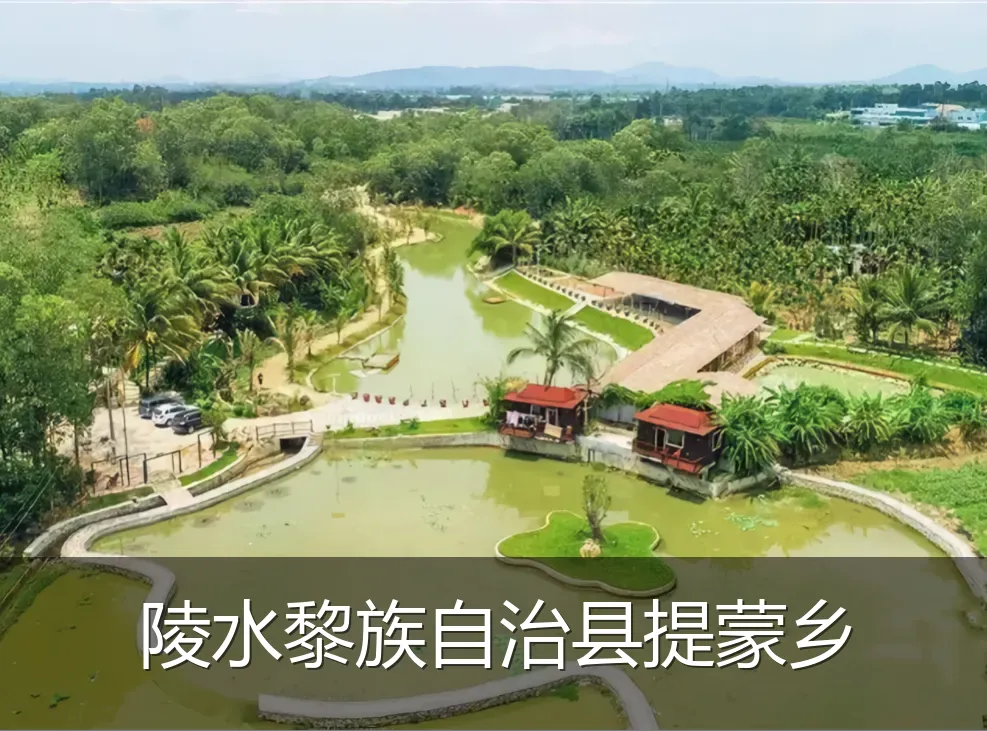 陵水黎族自治县提蒙乡