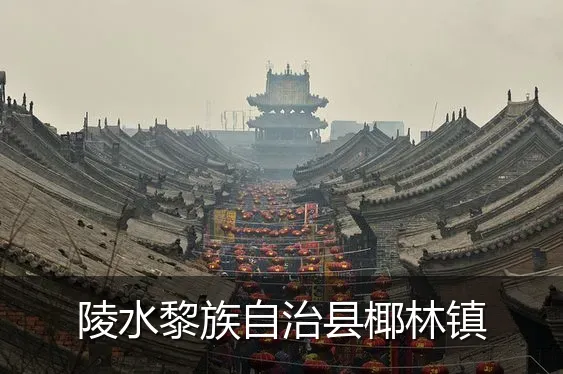陵水黎族自治县椰林镇