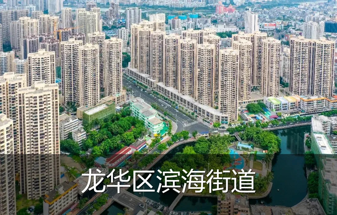 龙华区滨海街道